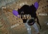 8元一万快手粉丝活粉(买快手活粉10000个)