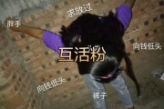 8元一万快手粉丝活粉(买快手活粉10000个)