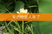 快手点赞特效是什么花的简单介绍