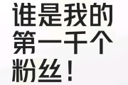 1元一百个粉丝(1元一百个粉丝正常吗)