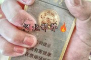 买来的快手活粉是真实的吗(快手活粉哪里买)