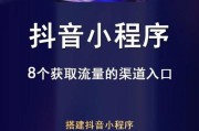 包含快手自动点赞接任务平台app的词条