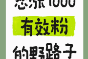 一块钱涨1000粉下载(一块钱涨到100块翻了多少倍)