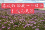临夏快手点赞_快手上点赞有什么好处