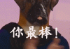 qq动态点赞购买网站(点赞购买网址)