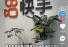 抖音把快手收购了吗(快手抖音会取代实体店吗)