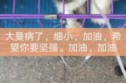 快手点赞墨_快手点赞功能