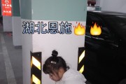 恩施快手点赞（快手点赞挣钱吗）