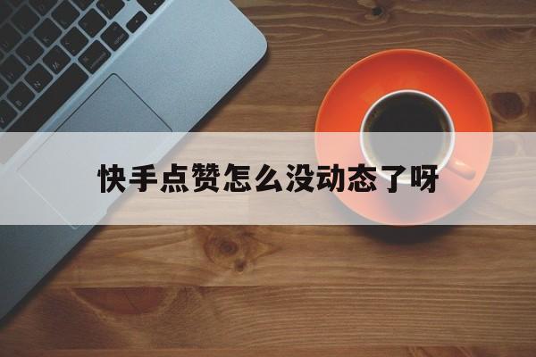 快手点赞怎么没动态了呀（快手有点赞为什么不显示）